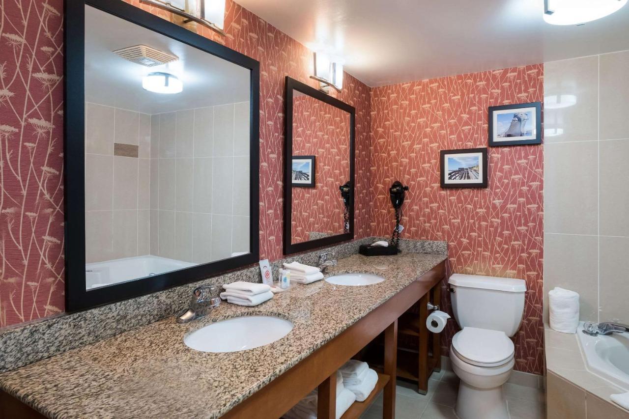 Comfort Suites Suffolk - Chesapeake Zewnętrze zdjęcie